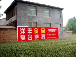 红安如何让墙体广告展现最大化效果