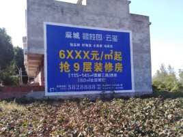 红安品牌公司青睐的墙体广告