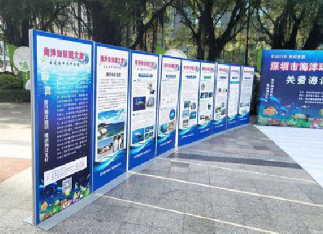 红安KT板的种类和知识。